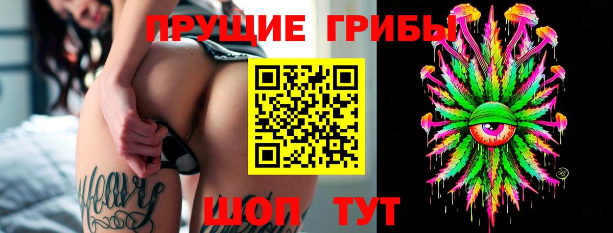 Галлюциногенные грибы Psilocybine cubensis Ханты-Мансийск