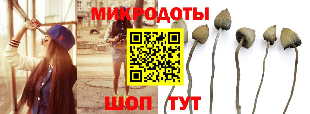 Галлюциногенные грибы Magic Shrooms  где купить наркотик  Ханты-Мансийск  Галлюциногенные грибы MAGIC MUSHROOMS  Вход с VPN 
